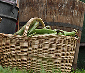 Stoiska